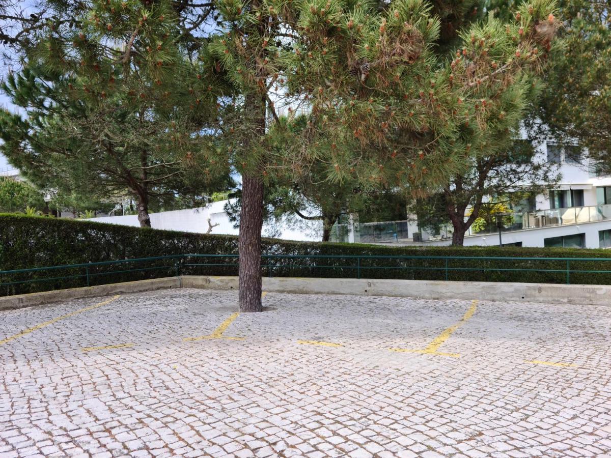 Soltroia - Casa Do Pinheiro Apartment ภายนอก รูปภาพ