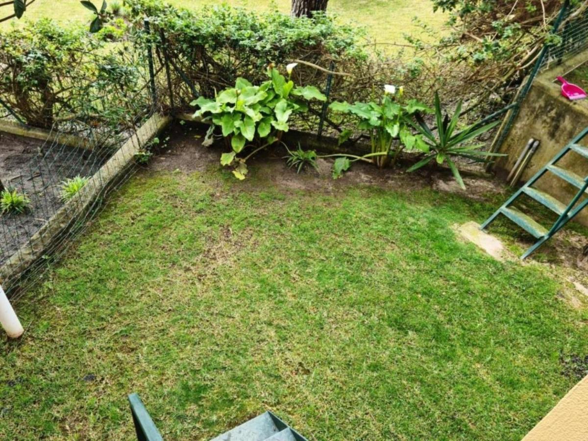 Soltroia - Casa Do Pinheiro Apartment ภายนอก รูปภาพ